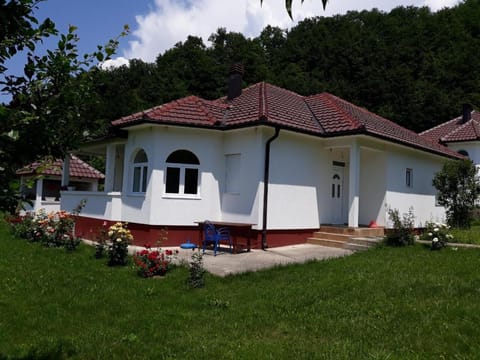 Property building, Garden view