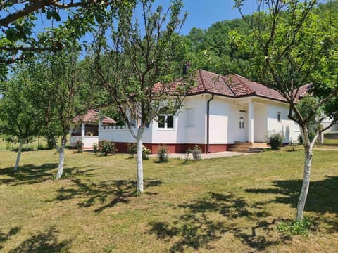 Property building, Garden, Garden view