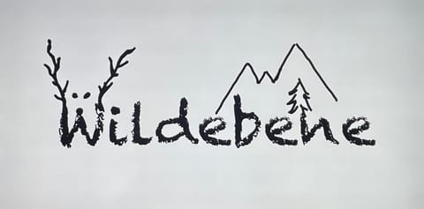 Haus Wildebene Apartment in Saint Anton am Arlberg