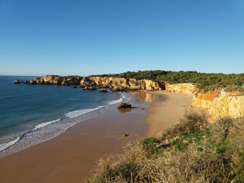 Nearby landmark, Natural landscape, Beach