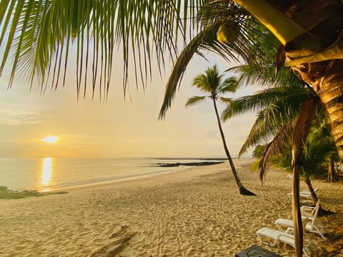 Sonny Island Resort Nature lodge in Panama