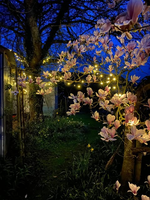 The Wayside Shepherd Hut House in New Forest District