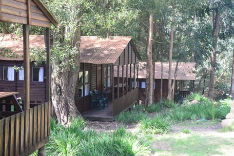 Plett Forest Cabins Inn in Eastern Cape