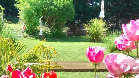 Patio, Garden, Garden view