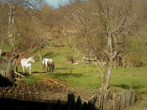 Abrigo Montesinho House in Senabria