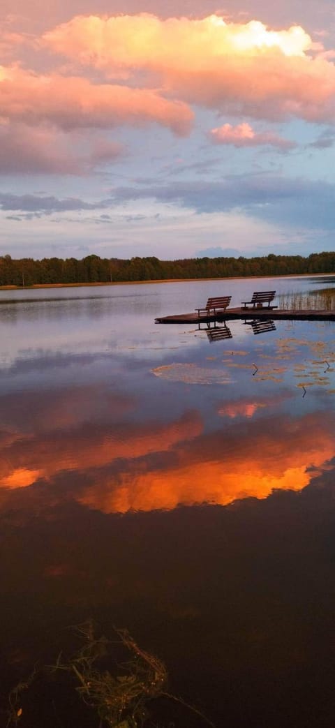 Lake view
