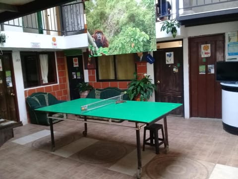 Game Room, Table tennis