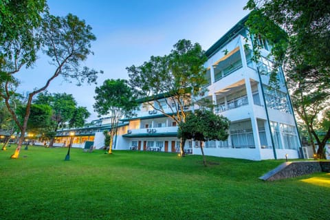 Property building, Natural landscape, Garden view, Sunrise