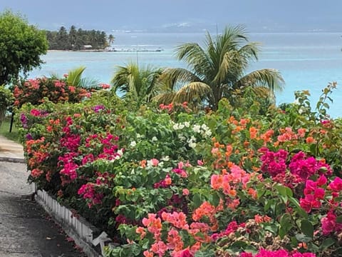 Property building, Garden, Sea view