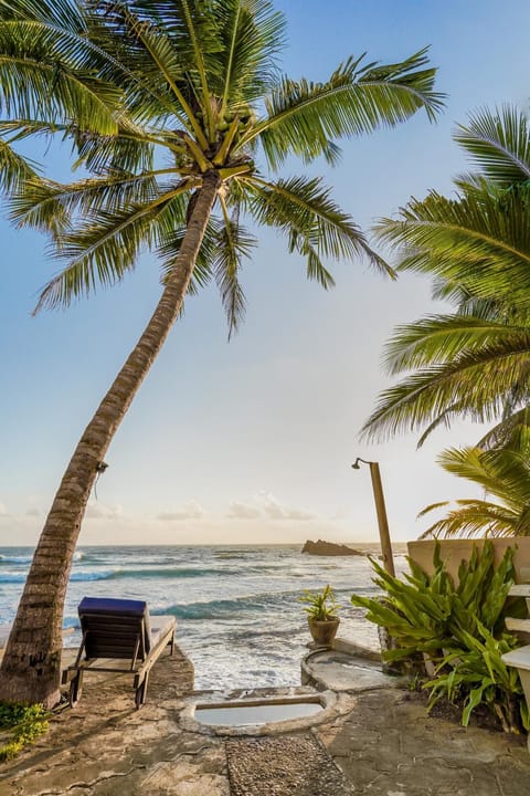 View (from property/room), Sea view, Location, Sunset