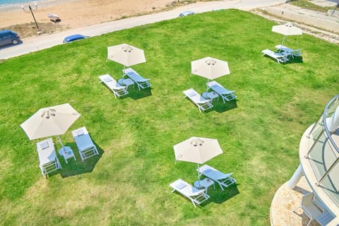 Garden, sunbed