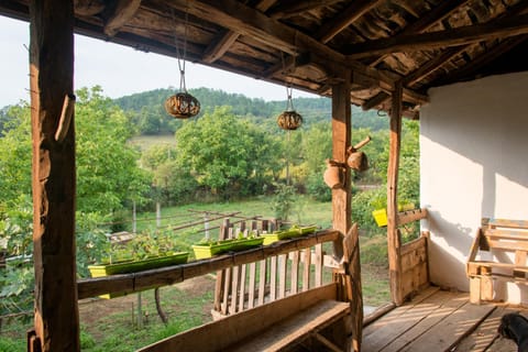 Balcony/Terrace, Garden view