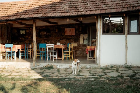 Property building, Day, Dining area