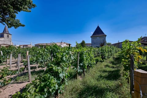 Luxurious Wine Estate Saint-Emilion Grand Cru with private swimming pool House in Occitanie