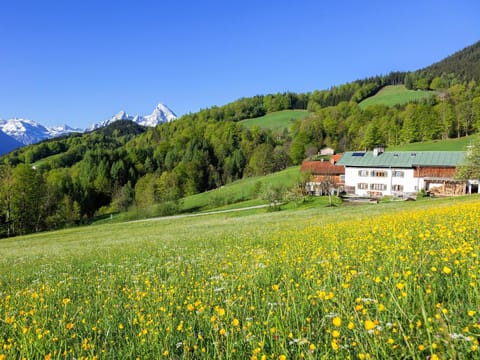 Property building, Natural landscape, Garden