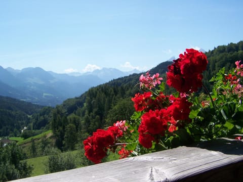 Natural landscape, Summer, Balcony/Terrace, Mountain view