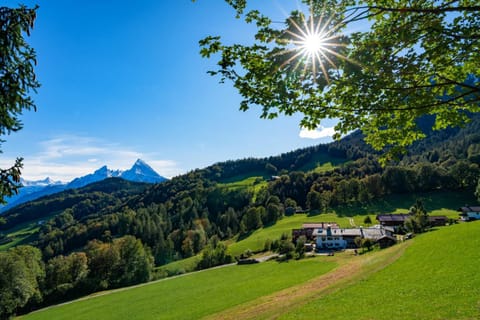 Landmark view