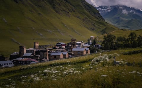 Ushguli Cabins l Cafe l Horse rental&tour l Driver Chalet in Georgia