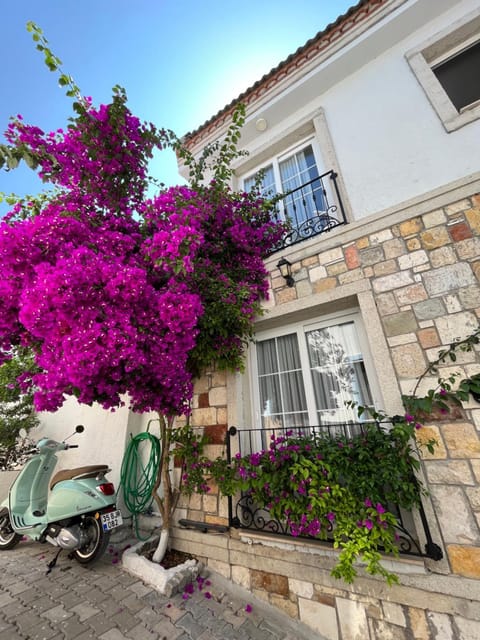 Property building, Street view