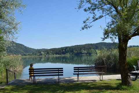 Natural landscape, Beach