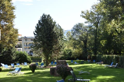 Day, Natural landscape, Garden, Garden view, sunbed