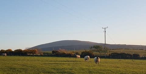 Tornabodagh House House in Northern Ireland