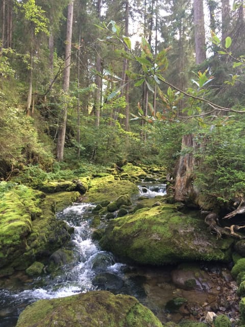 Nearby landmark, Spring, Day, Natural landscape, Winter, Summer, Hiking, Autumn, Seasons