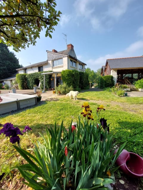 Property building, Garden, Pets, Inner courtyard view