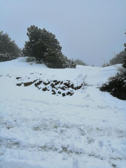 Natural landscape, Winter, Hiking