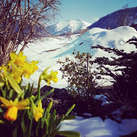 Winter, Mountain view