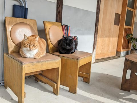 猫と図書館のある宿 草地家 Kusachike Casa in Hyogo Prefecture