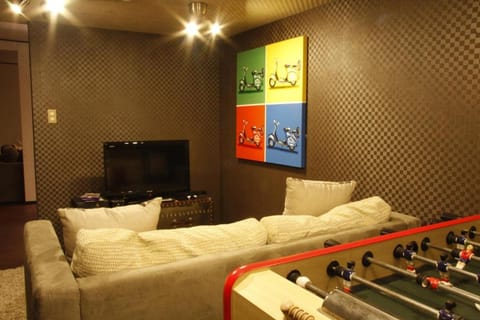 Game Room, TV and multimedia