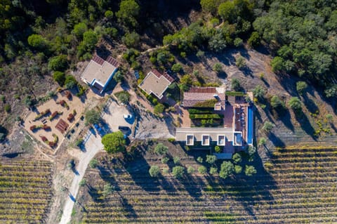 Property building, Bird's eye view