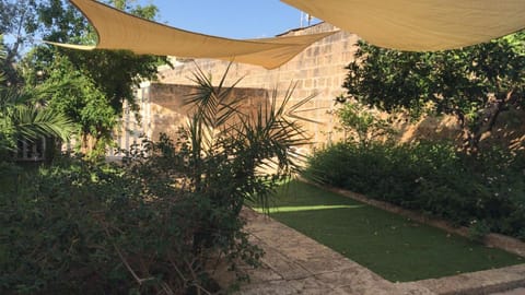 Garden, Garden view, Inner courtyard view