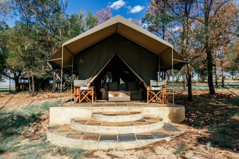 Sibani Lodge - Glamping Tents Luxury tent in Gauteng