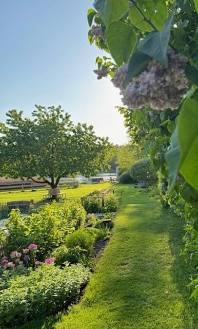 Garden view