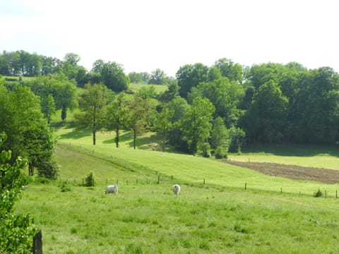 View (from property/room)