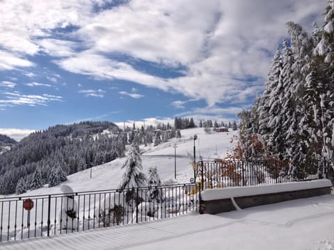 Natural landscape, Winter