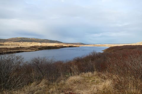 Lax-á Asgardur Cottages House in Southern Region