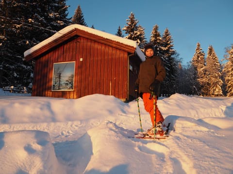 Cabin with great view close to town and ski area Nature lodge in Lillehammer