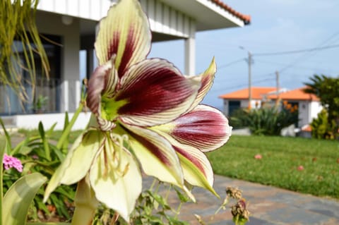 Villa Reis Gaula House in Caniço