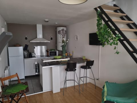 Tournus Castrum Romain - Duplex 54 m2 - 3 Étoiles - petit box vélo - 5mn Autoroute Apartment in Bourgogne-Franche-Comté