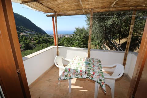 Patio, Natural landscape, View (from property/room), Balcony/Terrace, Dining area, Sea view