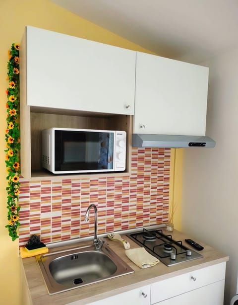 Kitchen or kitchenette, kitchen