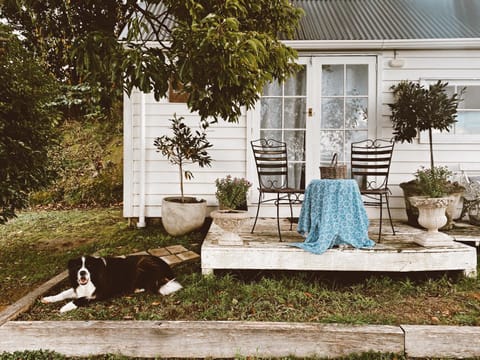 Thistle and Pine Cottage Farmstay Farm Stay in Tauranga
