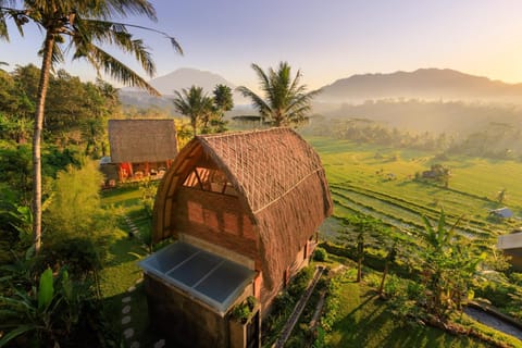 Natural landscape, Hiking, Garden view