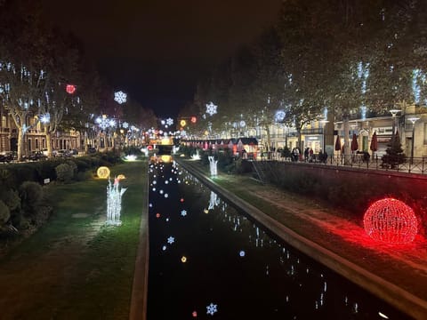 Bulle de Charme avec Vue Apartment in Perpignan