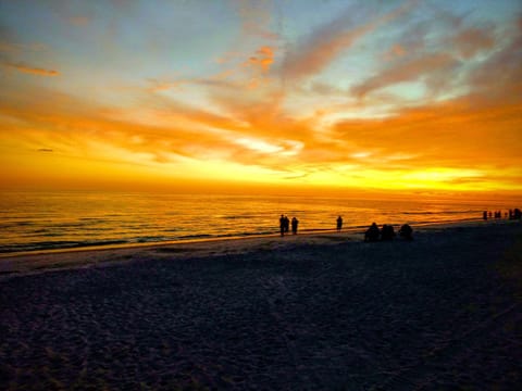 Natural landscape, Beach, Sunset