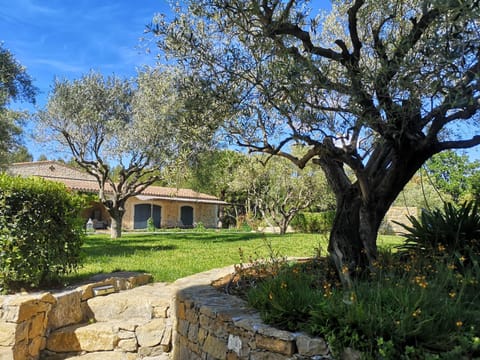 Natural landscape, Garden view, Garden view