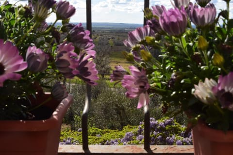 Terme e relax nella campagna viterbese Bed and Breakfast in Umbria